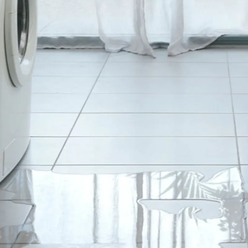 Appliance Leak Cleanup in Hale Center, TX
