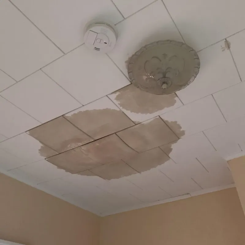 Ceiling Water Damage Repair in Hale Center, TX