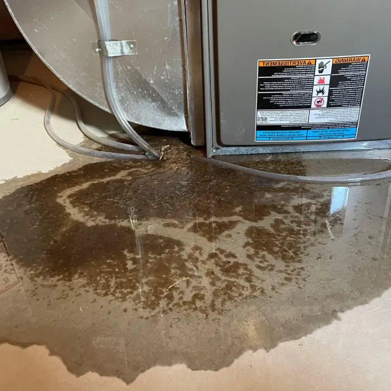 Pipe Burst and Leak Restoration in Hale Center, TX