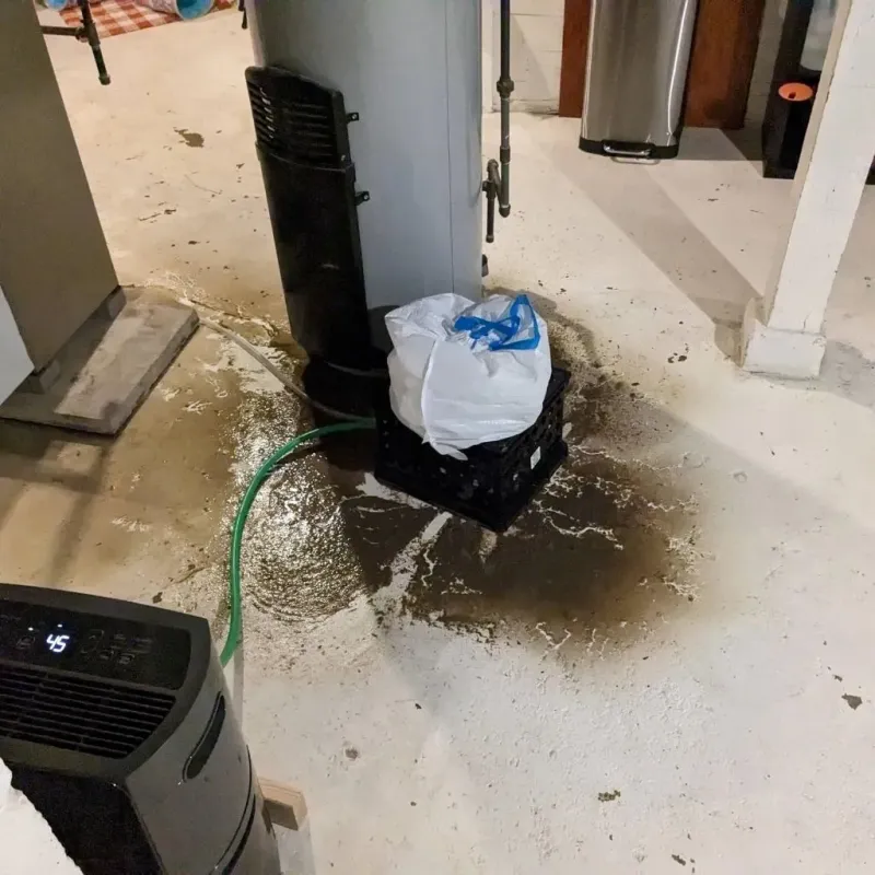 Sewage Backup Cleanup Service in Hale Center, TX